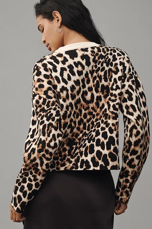 SUNCOO Paleo Cheetah Sweater Product Image