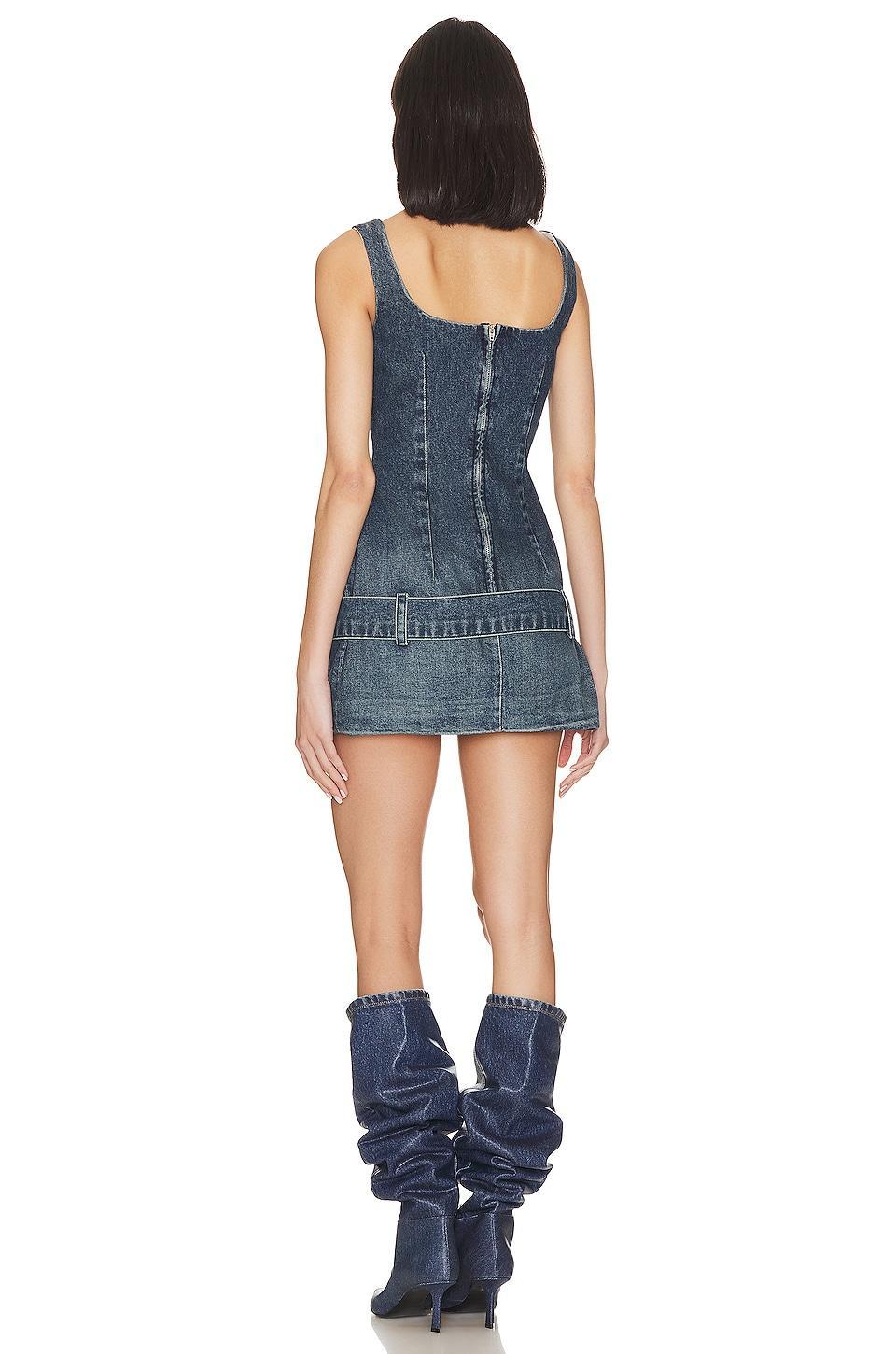 Firefly Dress EB Denim Product Image