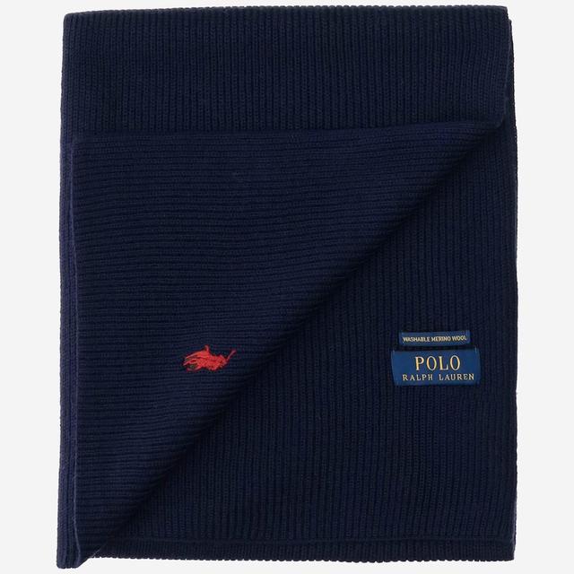 Wool Scarf With Logo In Blue Product Image