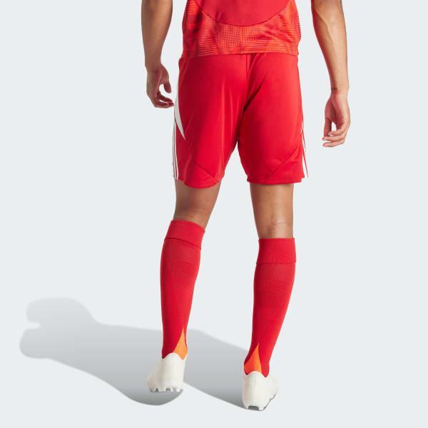 Tiro 24 Shorts Product Image