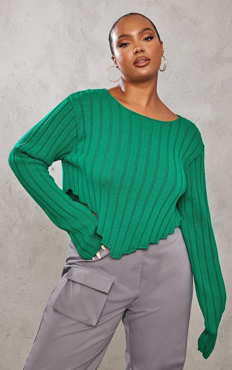 Plus Bright Green Chunky Knit Long Sleeve Dip Hem Crop Top Product Image