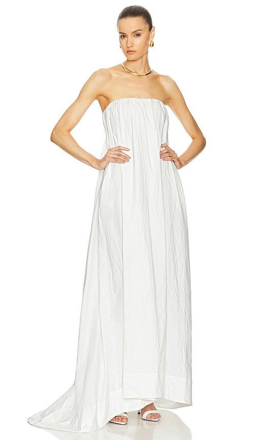 Crinkle Pleated Gown Product Image