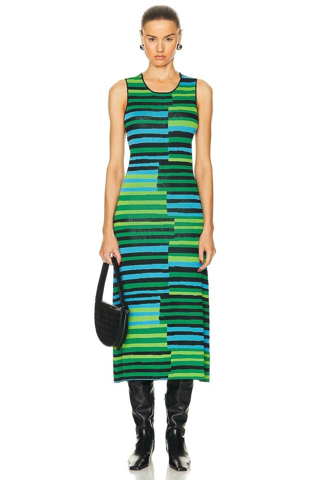 Axon Sleeveless Striped Midi Dress Product Image