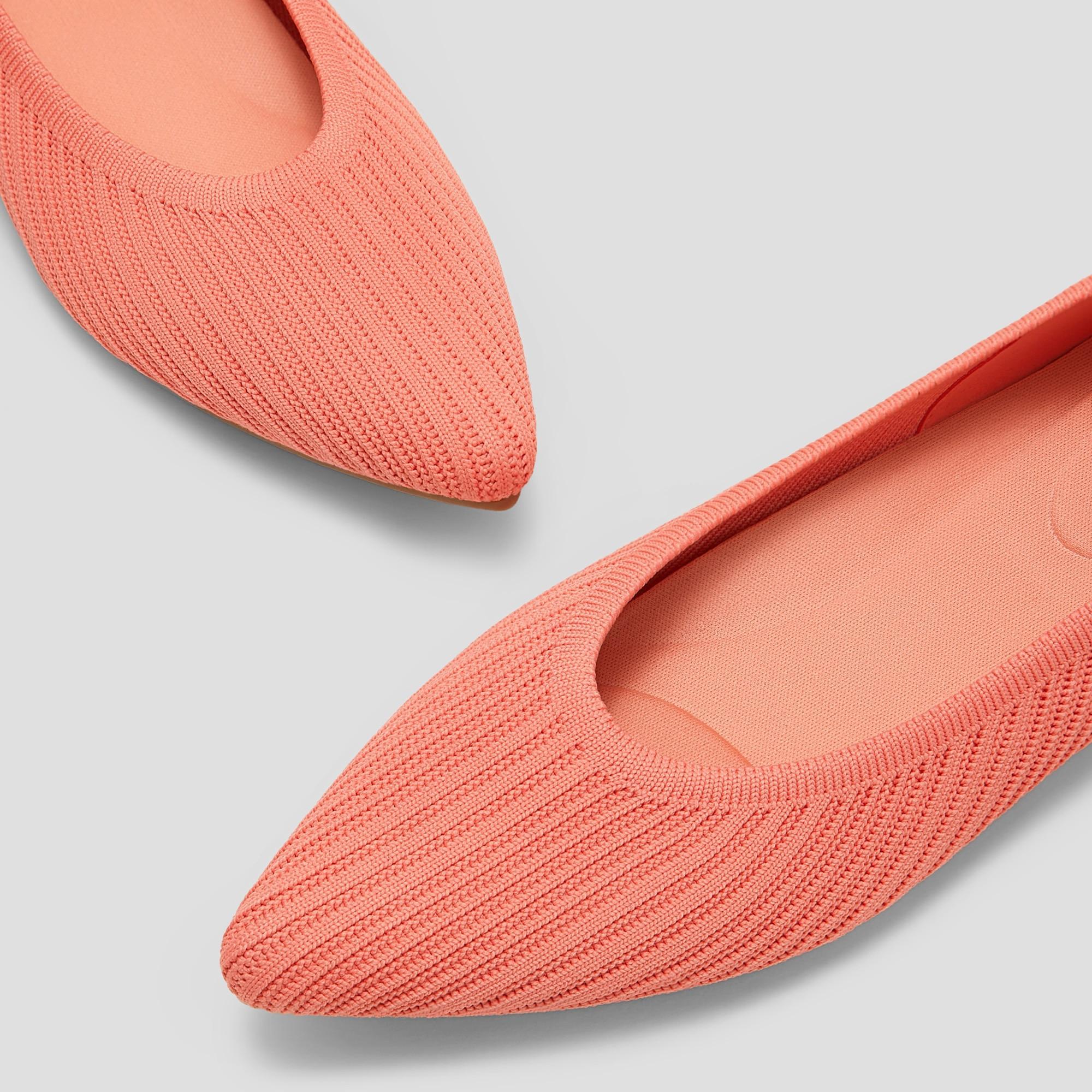 Pointed-Toe Ballet Flats (Aria 5°) Product Image