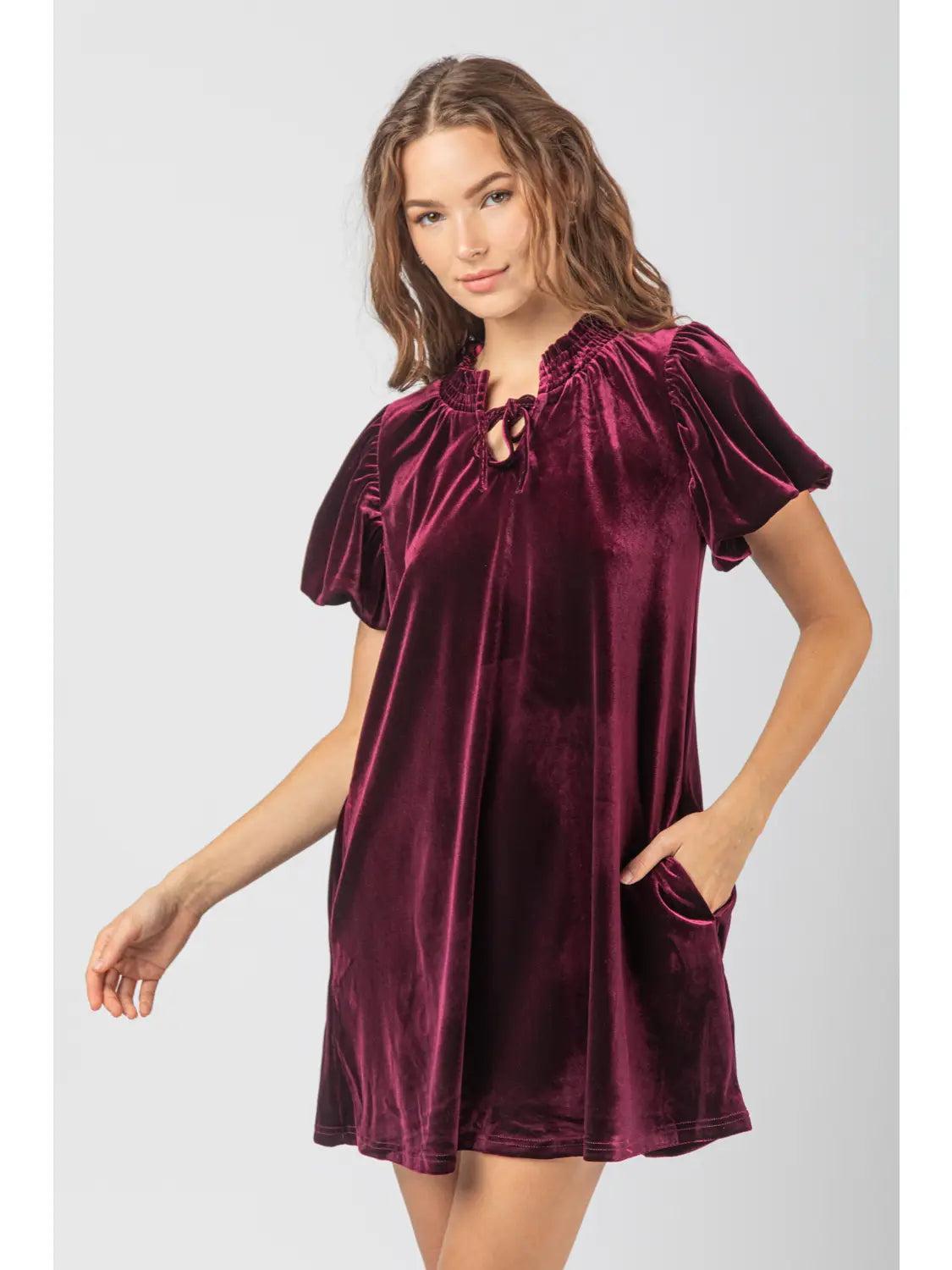 Puff Short Sleeve Velvet Holiday Mini Dress on Female Product Image