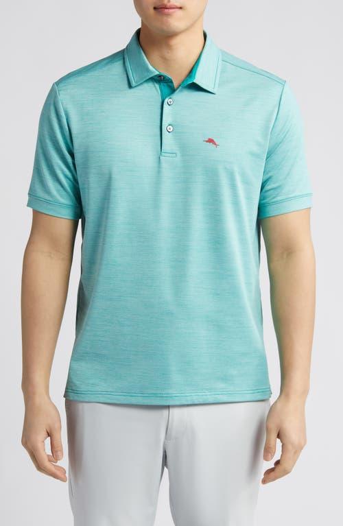 Tommy Bahama San Raphael Polo (Gulf Shore) Men's Short Sleeve Knit Product Image