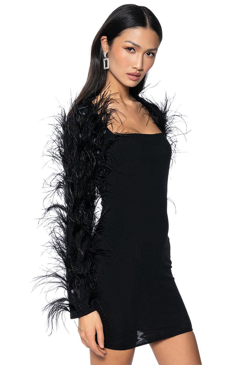 RUFFLE MY FEATHERS MESH MINI DRESS Product Image