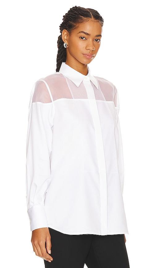 Womens Poplin Cotton Sheer Yoke Tuxedo Shirt Product Image