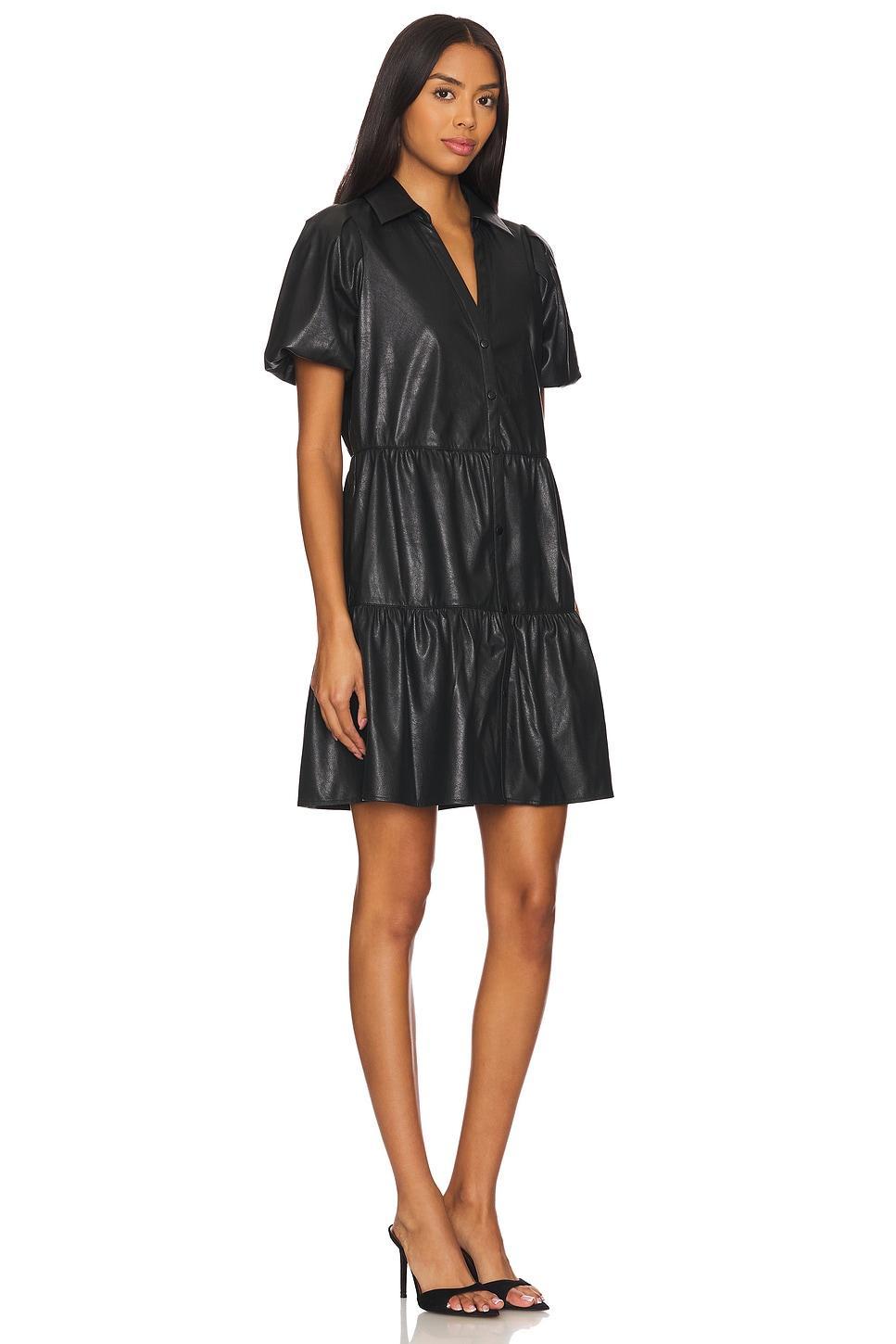 Havana Vegan Leather Mini Dress Brochu Walker Product Image