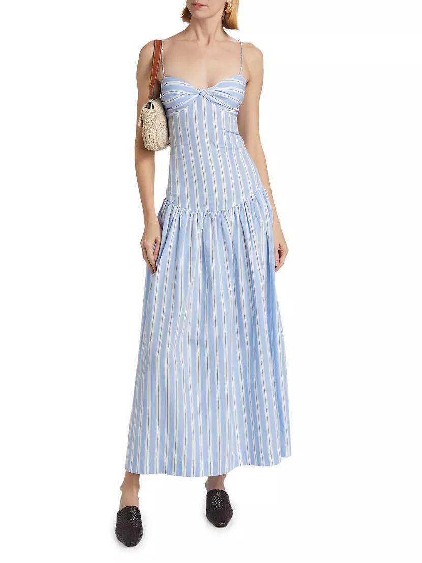 Rapture Striped Fit & Flare Dress Product Image