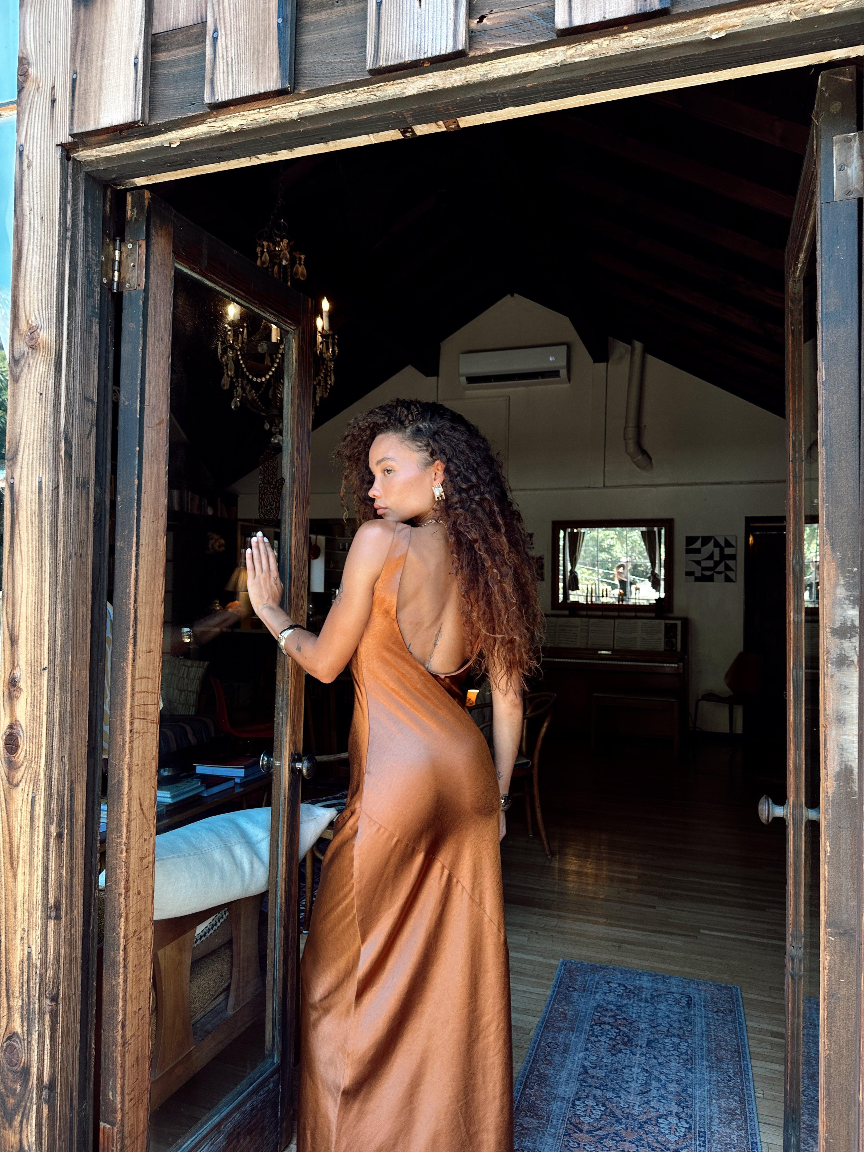 Orion Bronze Maxi Dress Product Image