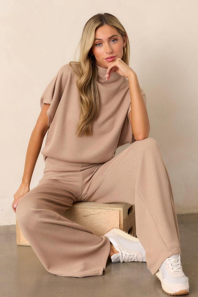 Carolina Plains Beige Knit Mock Neck Top Product Image