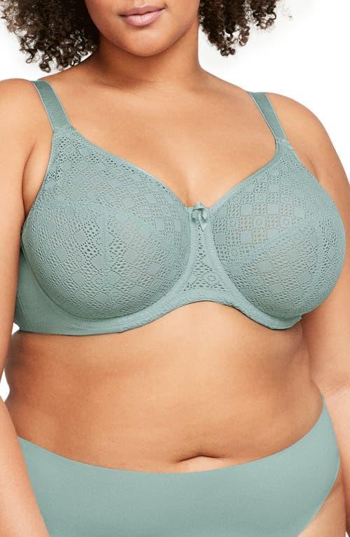 Glamorise Full Figure Lace Underwire Bra Product Image