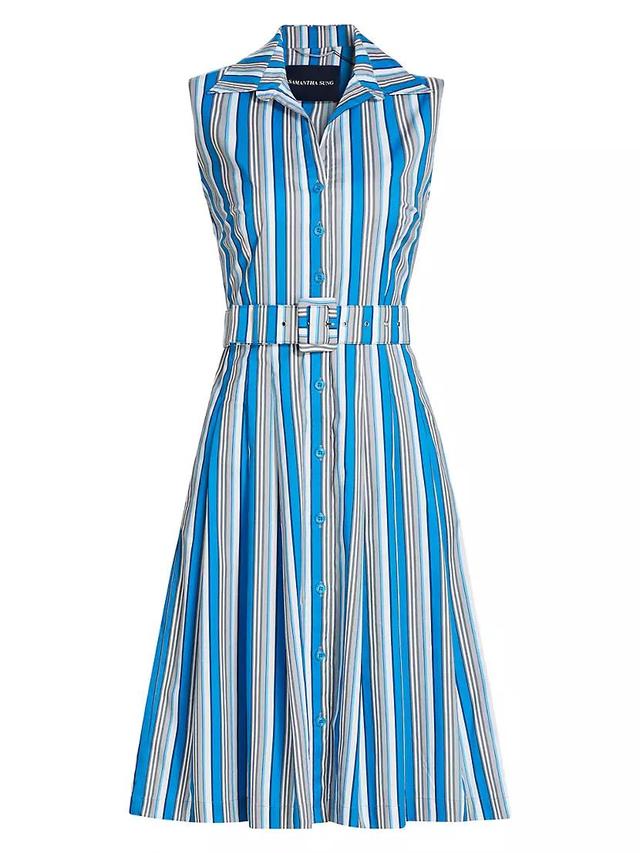 Audrey Terry Stripe Stretch Cotton Shirtdress Product Image