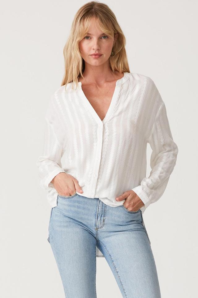 Fine Example Blouse Product Image