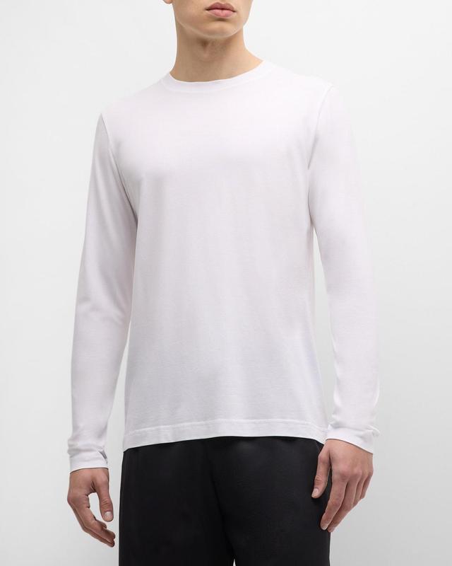 Mens Long-Sleeve Crewneck T-Shirt Product Image