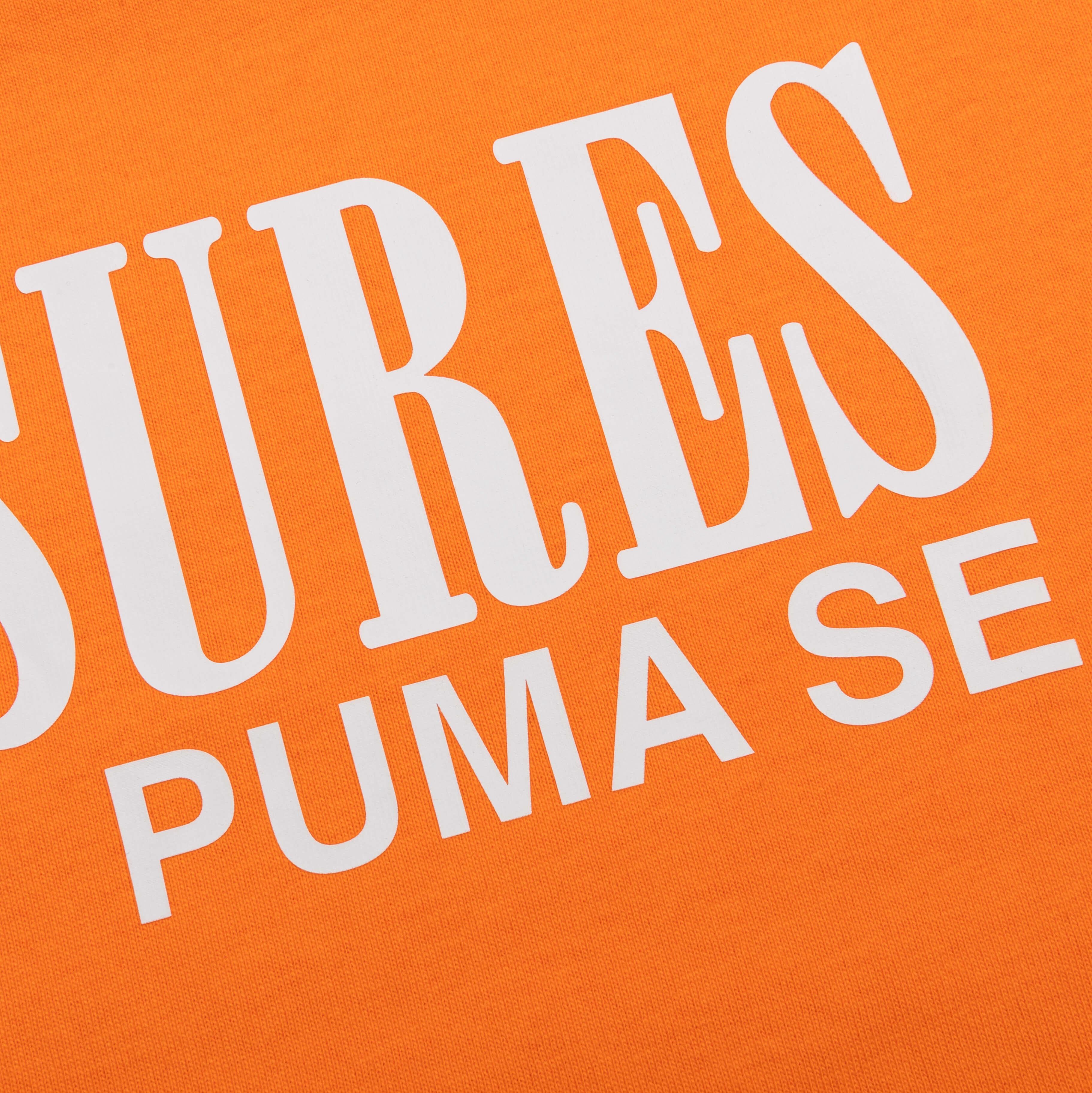 Puma x Pleasures Typo Tee - Orange Male Product Image