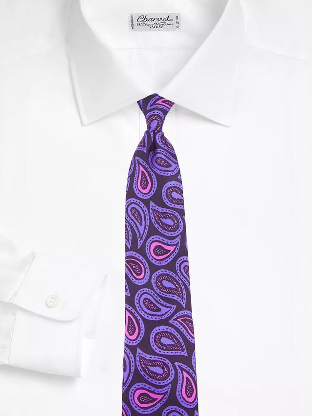 Novel Paisley Silk Tie Product Image