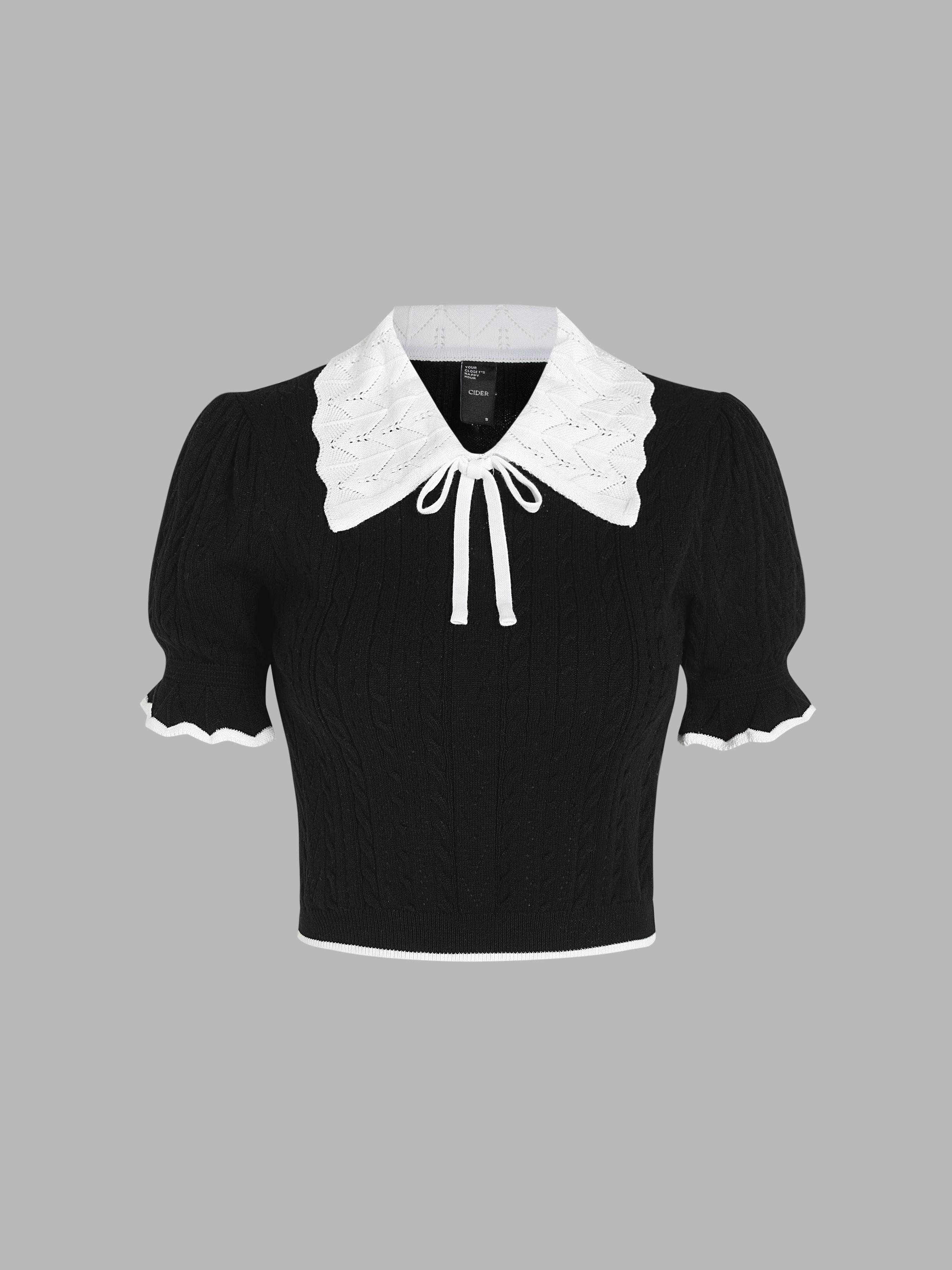 Polo Contrasting Trim Knit Short Sleeve Crop Top Product Image