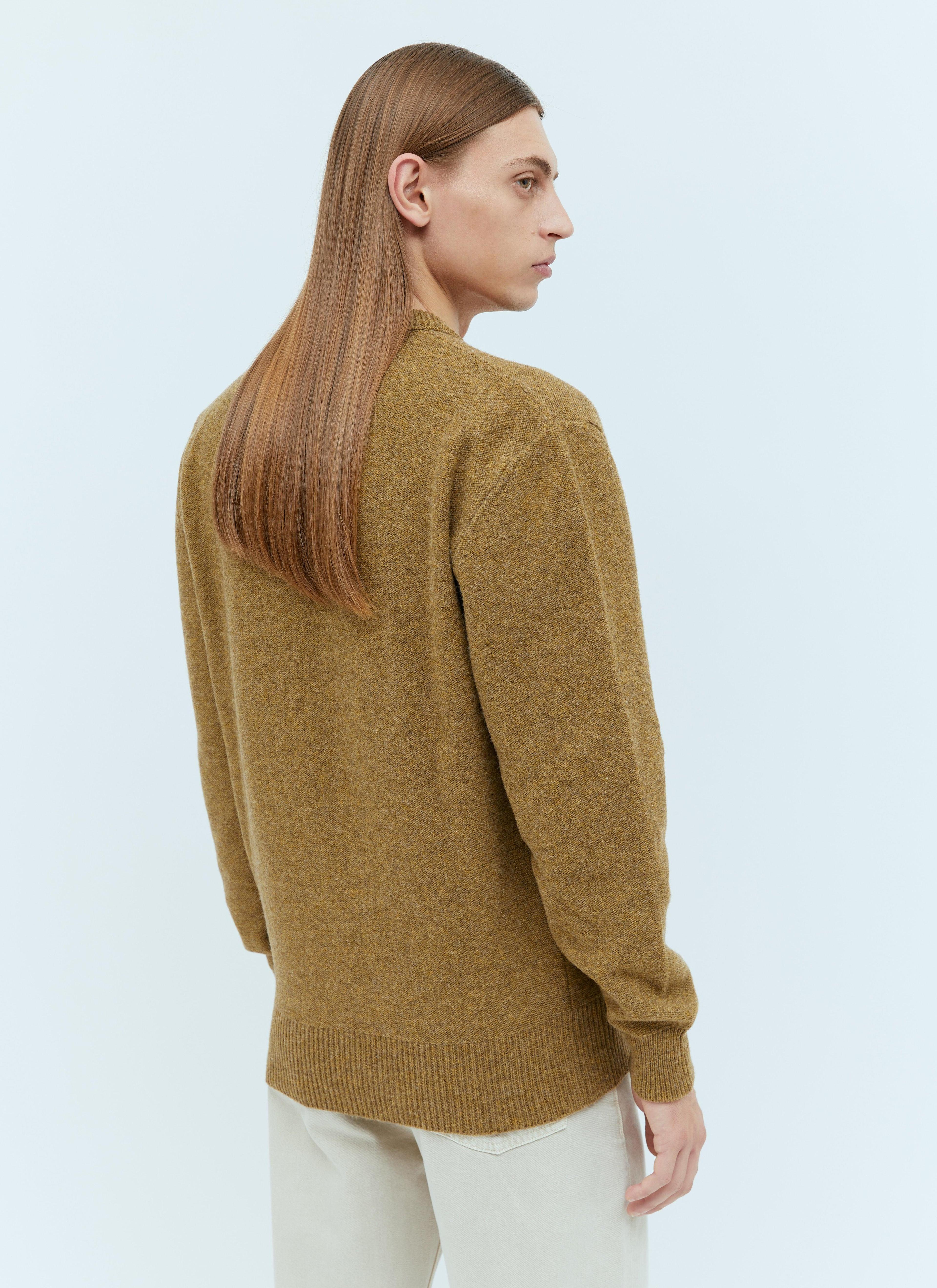 Yellow V-neck Sweater In Brown Product Image