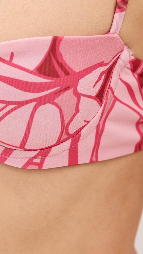 Peixoto Portia Bikini Top | Shopbop Product Image