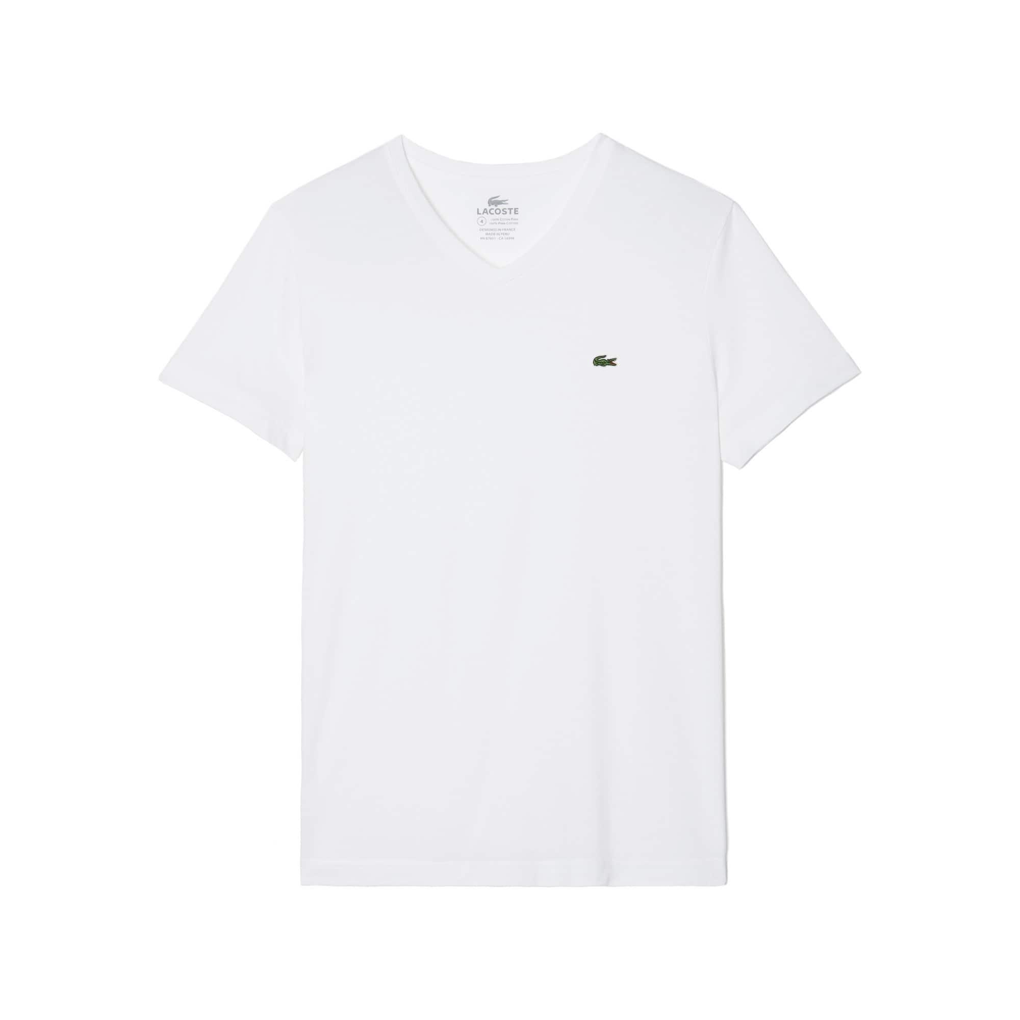 V-Neck T-Shirt in Pima Cotton Product Image