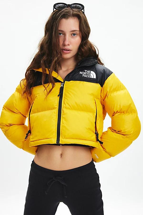 The North Face Nuptse Cropped Puffer Jacket Womens at Urban Outfitters Product Image