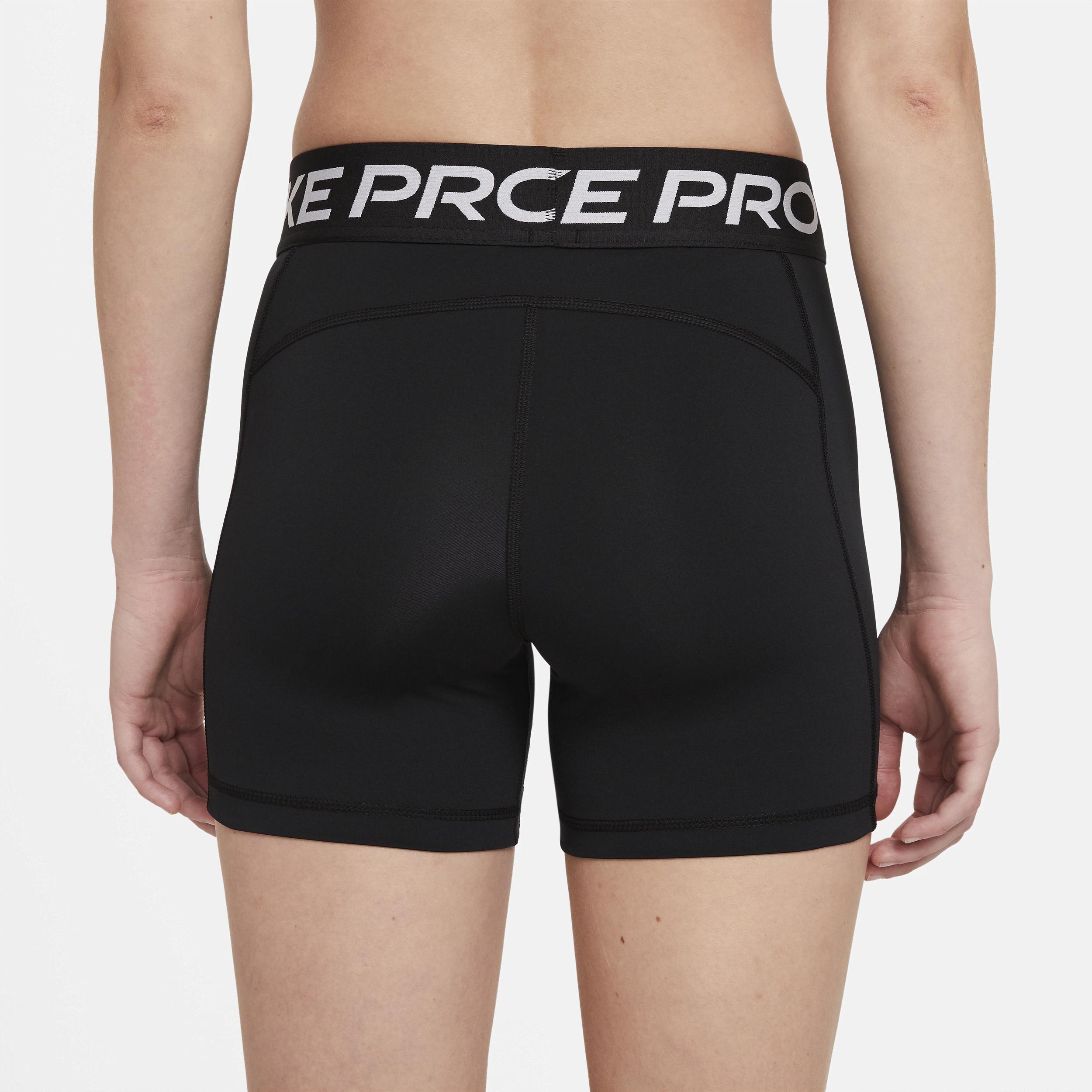 Nike Pro 365 Performance Shorts Product Image