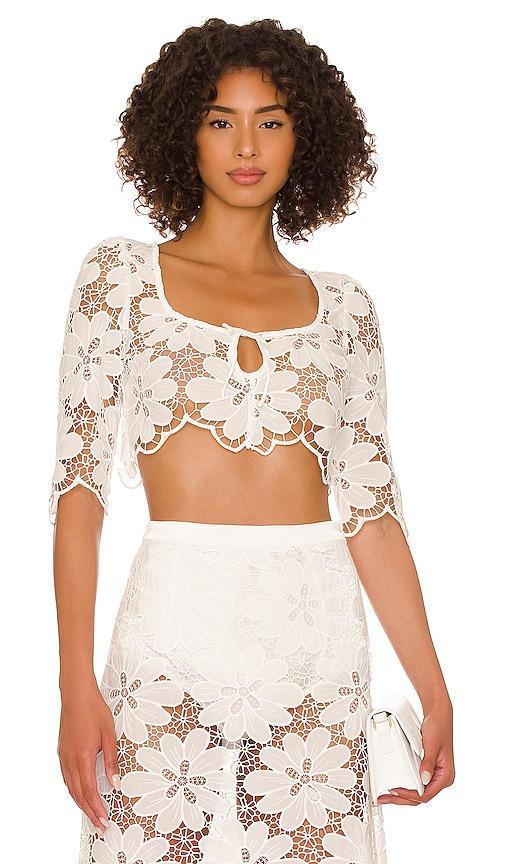 Malika Crop Top product image