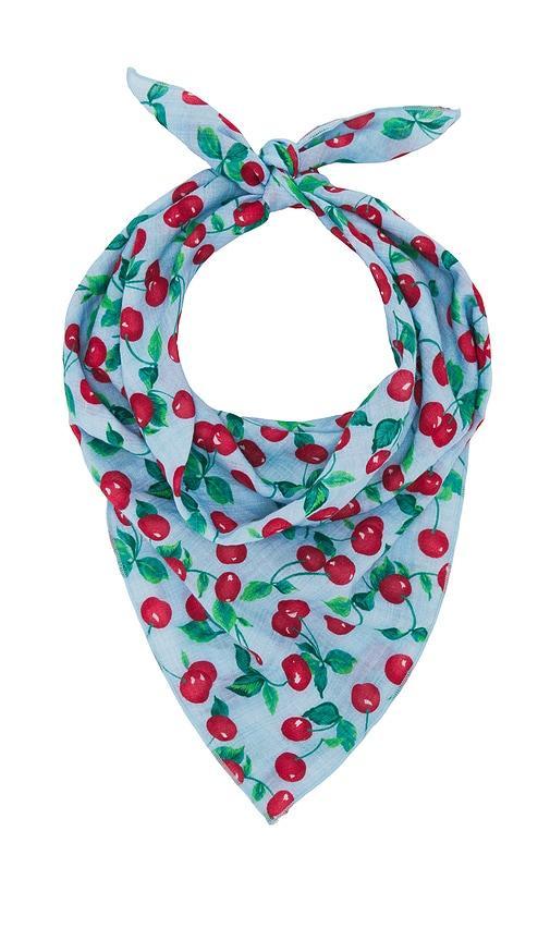 Lee Scarf Product Image