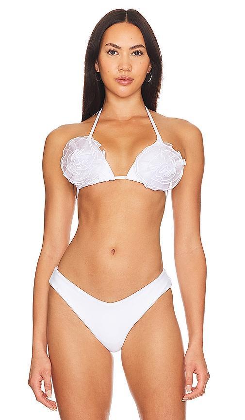 BIKINI-OBERTEIL BLOSSOM Product Image