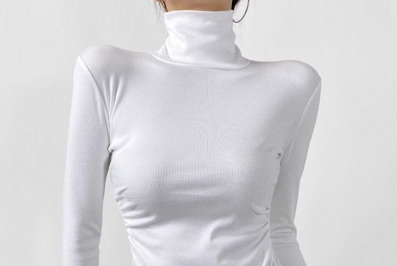 Long-Sleeve turtleneck Plain Top Product Image