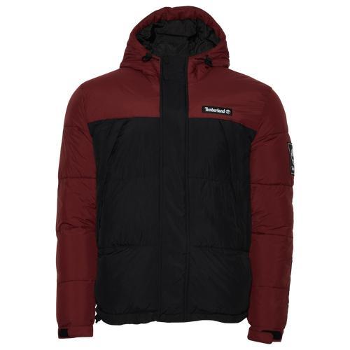 Timberland Mens Archive Puffer Jacket - Maroon/Black Product Image