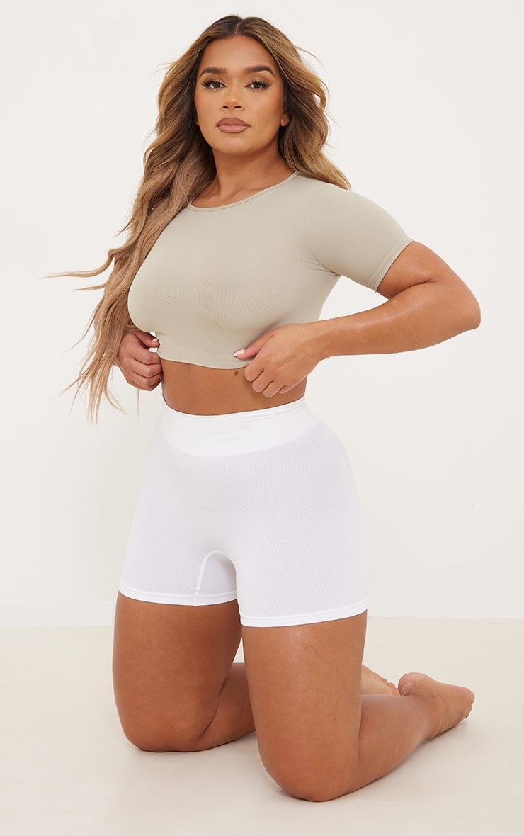 Shape Stone Stretch Seamless Cropped T Shirt Product Image