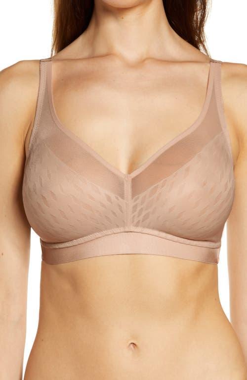 Wacoal Elevated Allure Wireless Bra Product Image