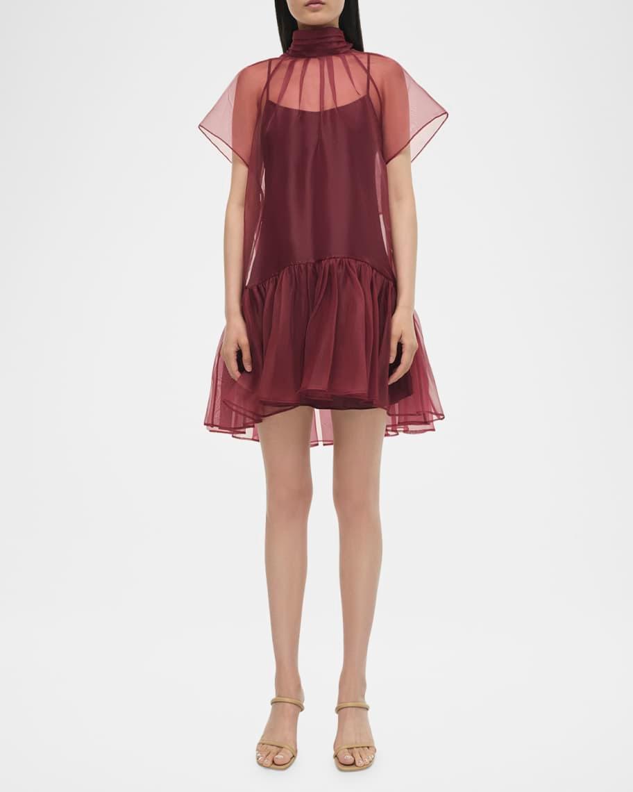 Beaux Sheer Tiered Mini Dress Product Image