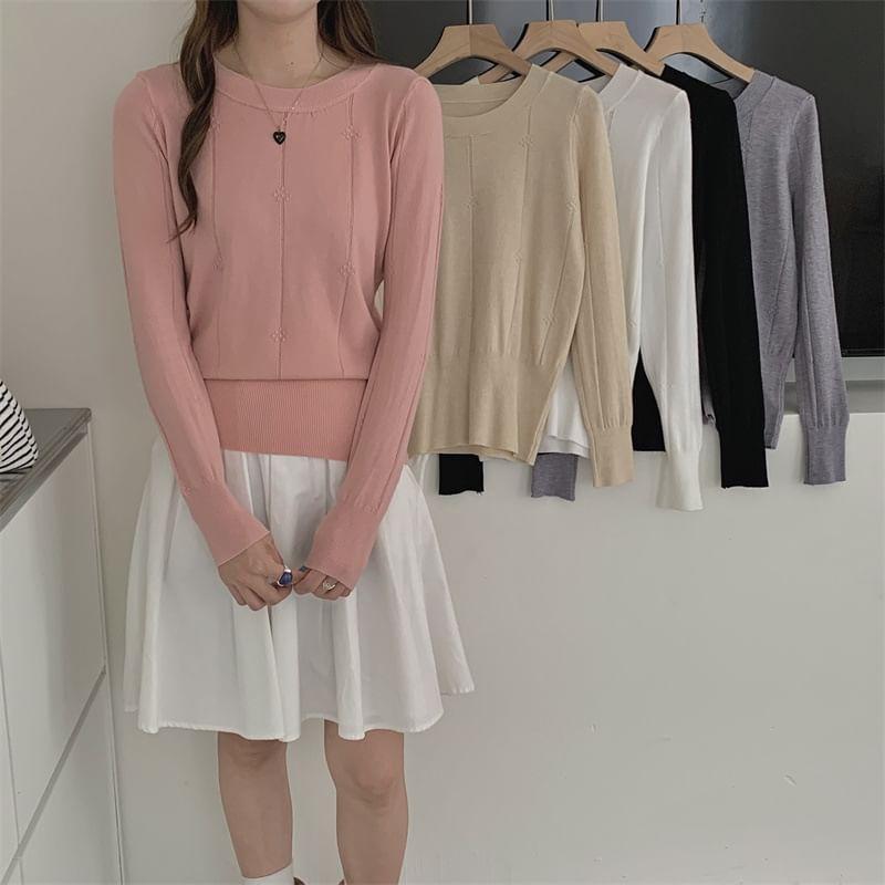 Long-Sleeve Crew Neck Plain Knit Top Product Image