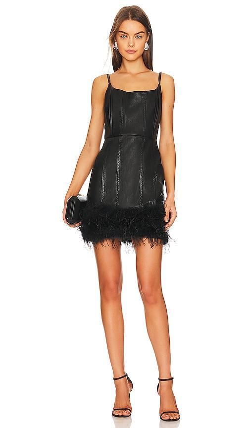 Lou Feather Dress Product Image