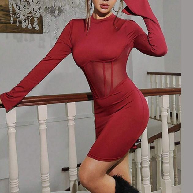 Long Sleeve Round Neck Plain See-Through Mesh Panel Bodycon Mini Dress Product Image