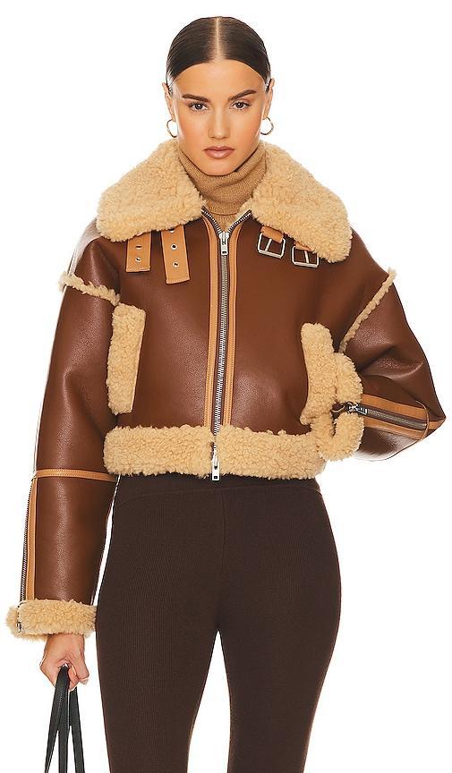 Helsa Cropped Faux Shearling Jacket Size L. Product Image