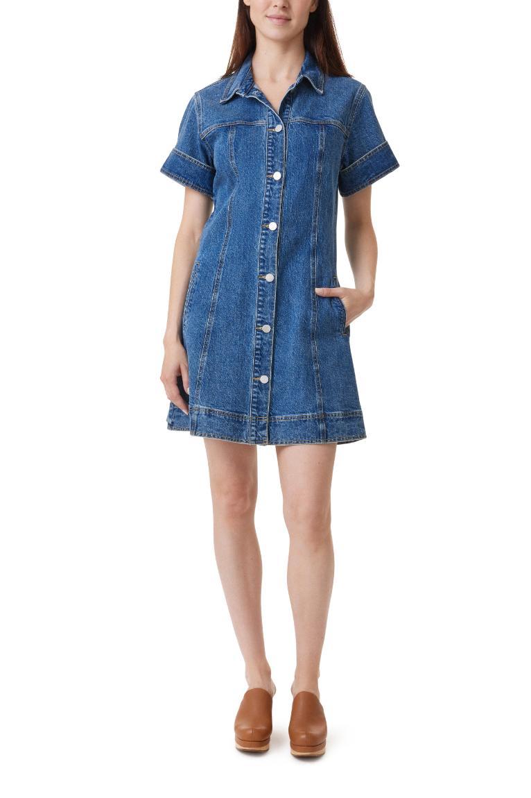 Denim Shift Dress Product Image