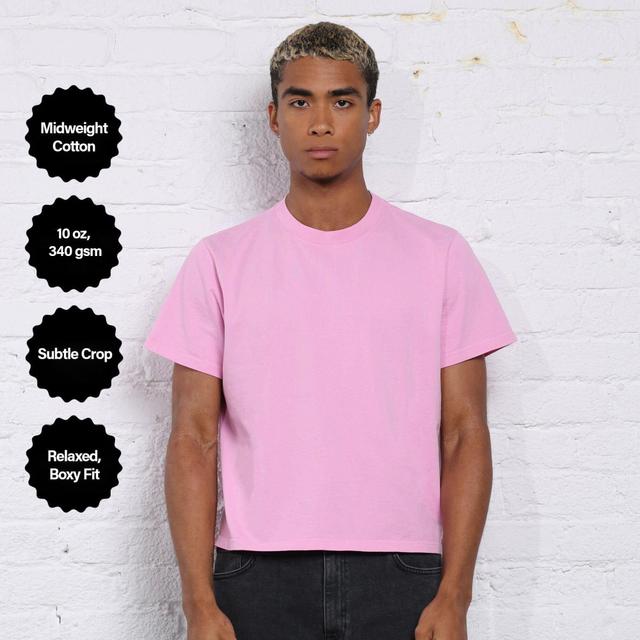 The Silverlake Crop Tee II Product Image