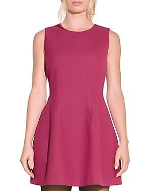 Endless Rose Fit & Flare Mini Dress Product Image