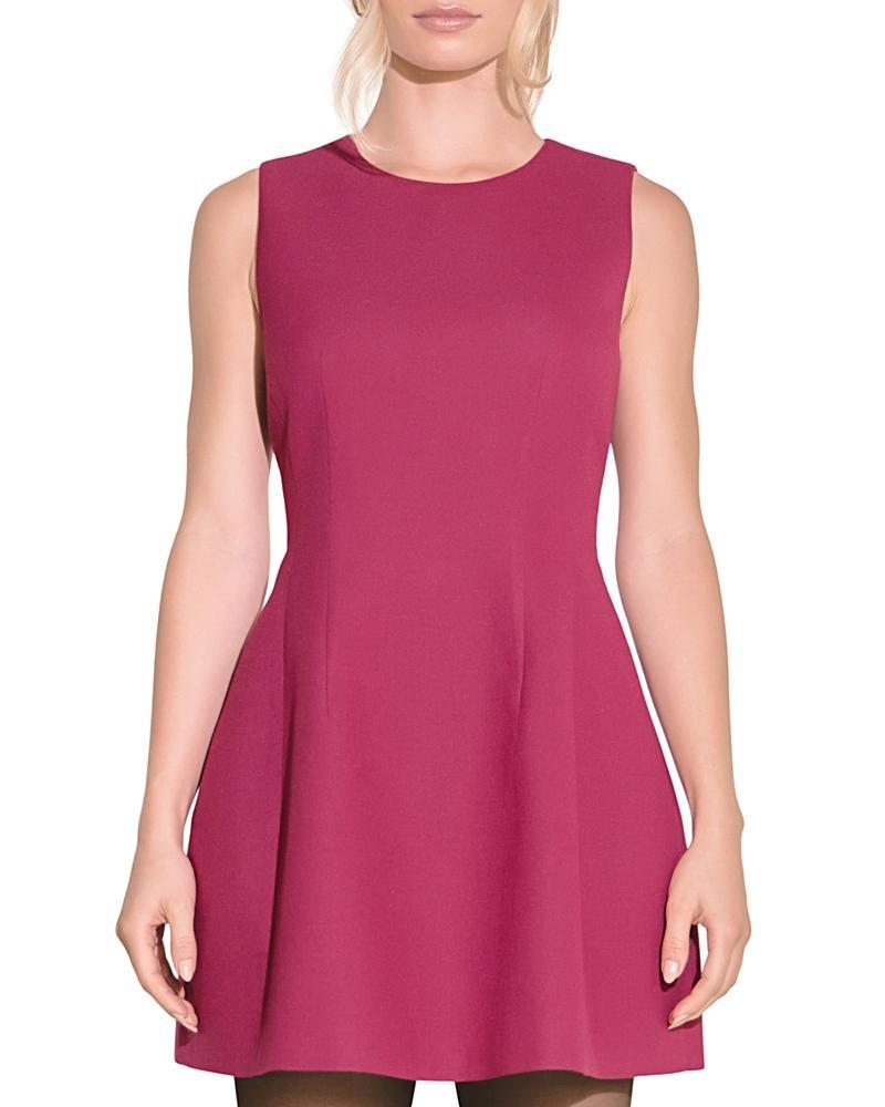 Endless Rose Fit & Flare Mini Dress Product Image