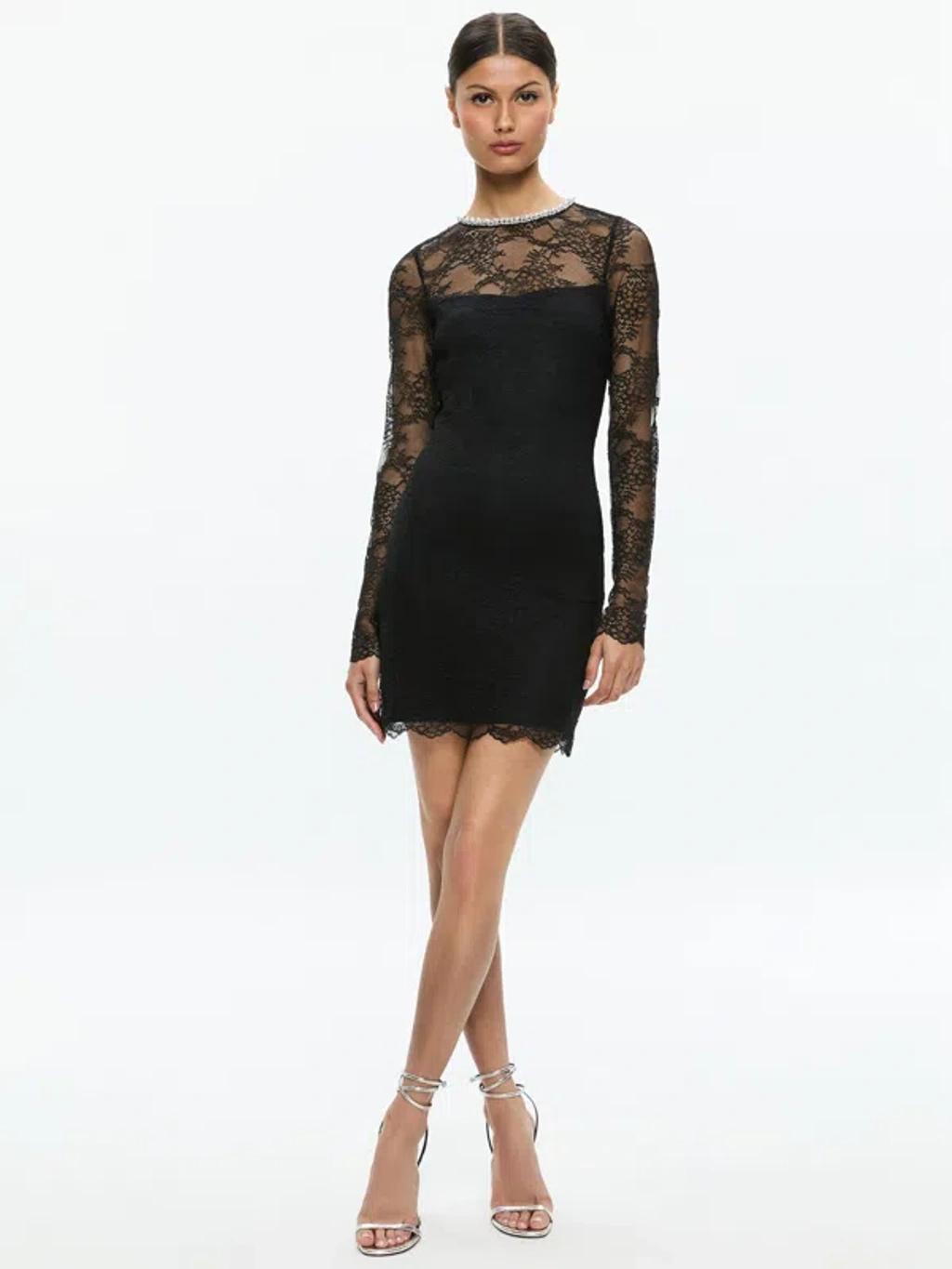 ALICE AND OLIVIA Delora Embellished Neck Long Sleeve Lace Mini Dress In Black Product Image