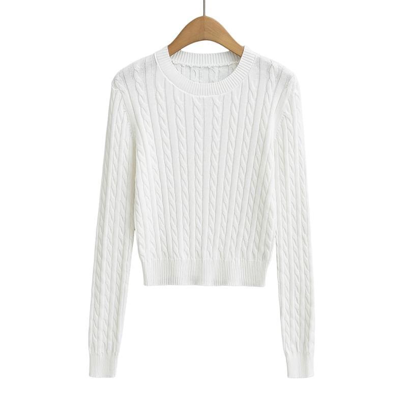 Crew Neck Plain Cable-Knit Sweater Product Image