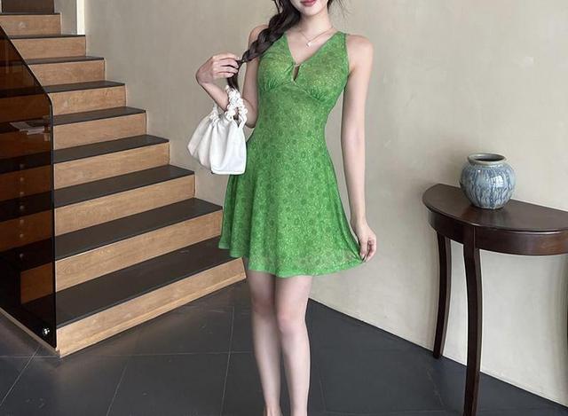 Sleeveless V-Neck Floral Mini A-Line Dress Product Image