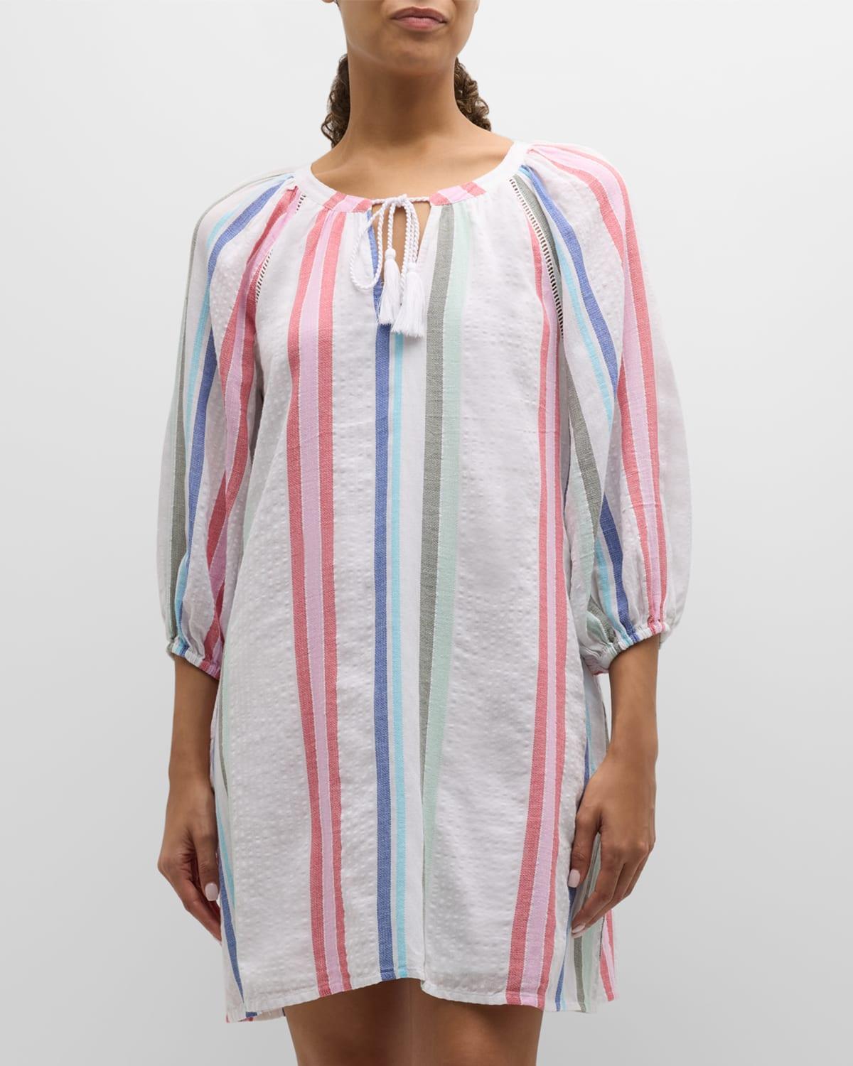 Multi Stripe Dobby Mini Dress product image