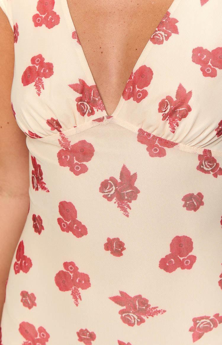 Cali Red Floral Maxi Dress Product Image