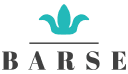 Barse Store Logo